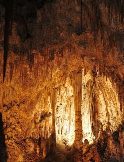 Carlsbad Caverns National Park