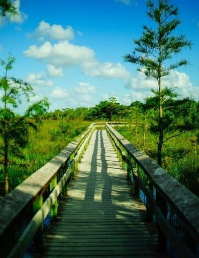 Everglades National Park