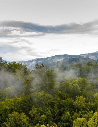 Great Smoky Mountains National Park