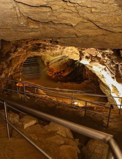 Mammoth Cave National Park