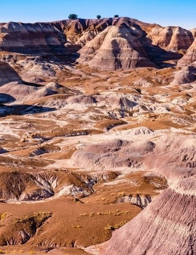 Petrified Forest National Park