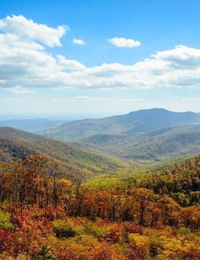 Shenandoah National Park